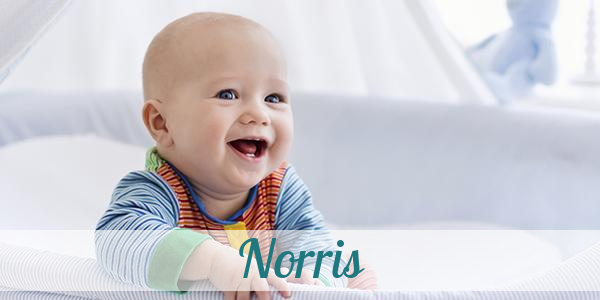 Namensbild von Norris auf vorname.com