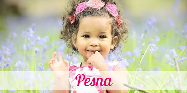 Namensbild von Pesna auf vorname.com