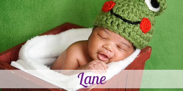Namensbild von Lane auf vorname.com