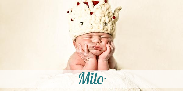 Namensbild von Milo auf vorname.com