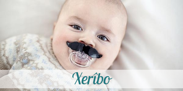 Namensbild von Xerîbo auf vorname.com